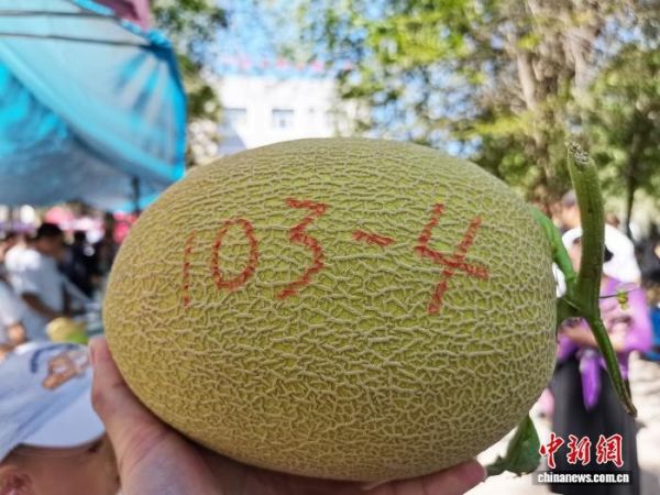新疆瓜果：甜过初恋的阳光滋味